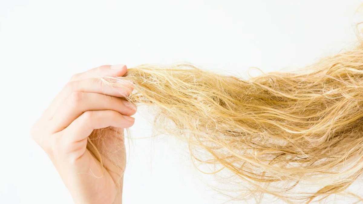 مزایای احیای مو چیست؟